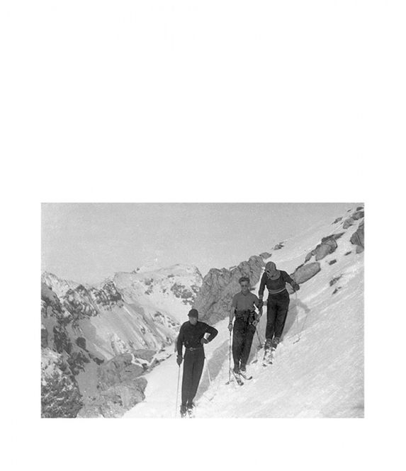Hovedbilde  SKIING GN5638 120*80 fra Cobra Art
