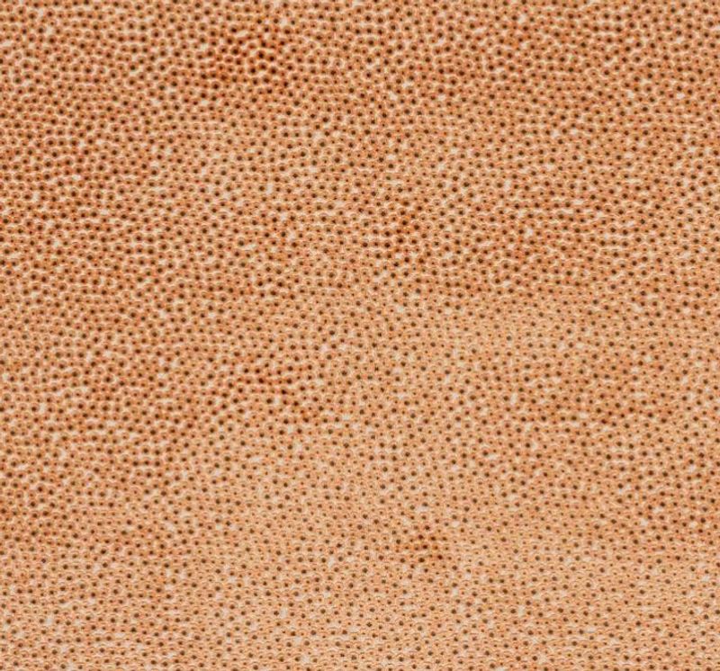 Darwin J0249 fabric Jane Churchill 